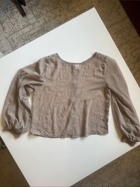 Passport Taupe Sheer Polka Dot Long Sleeve Blouse
